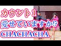 ［社交ダンス・チャチャチャ］カウント１愛せていますか!? チャチャチャのカウントの魅せ方を徹底解説！