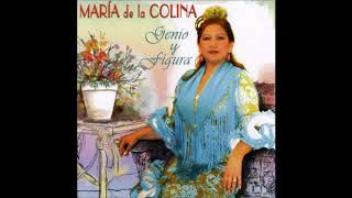 Video thumbnail of "Candela viva - María de la Colina"