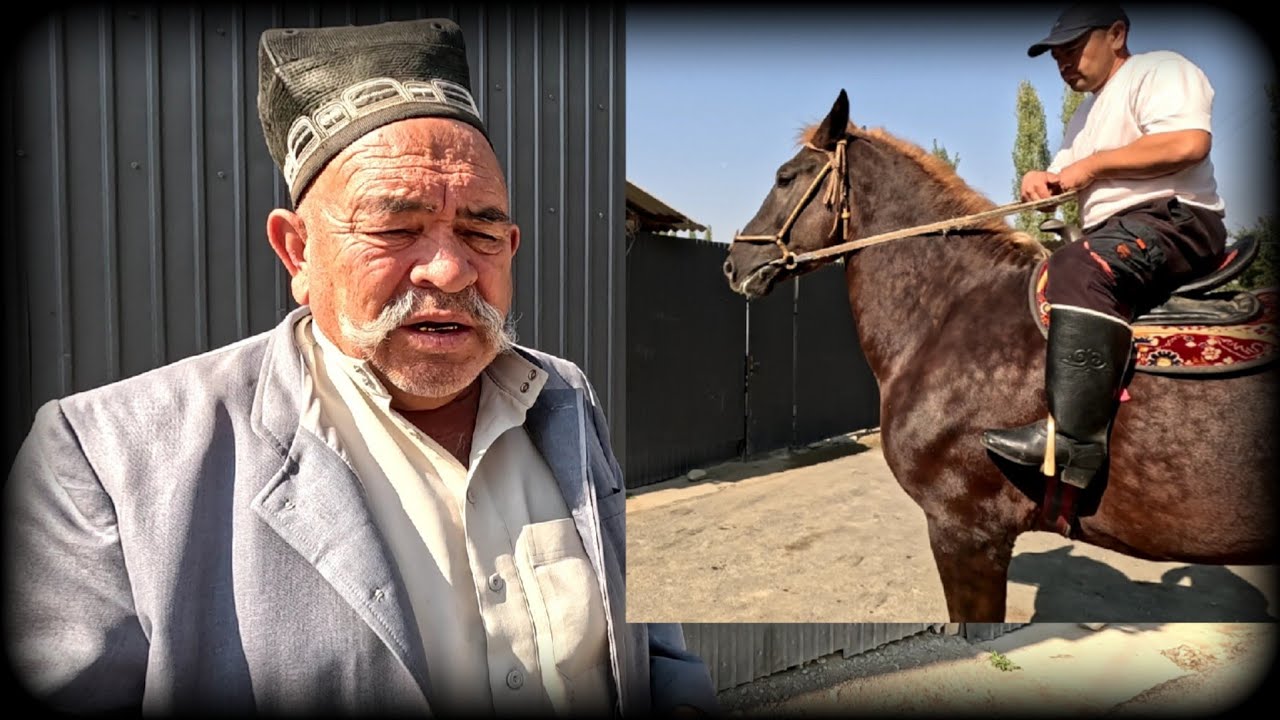 Одил отбозни уйидаги отлари! 184 см! 5 ёш!