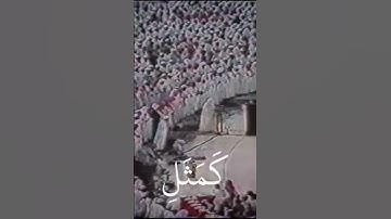 الشيخ علي جابر رحمه الله /سورة الحديد الايه 20 والسلام عليكم