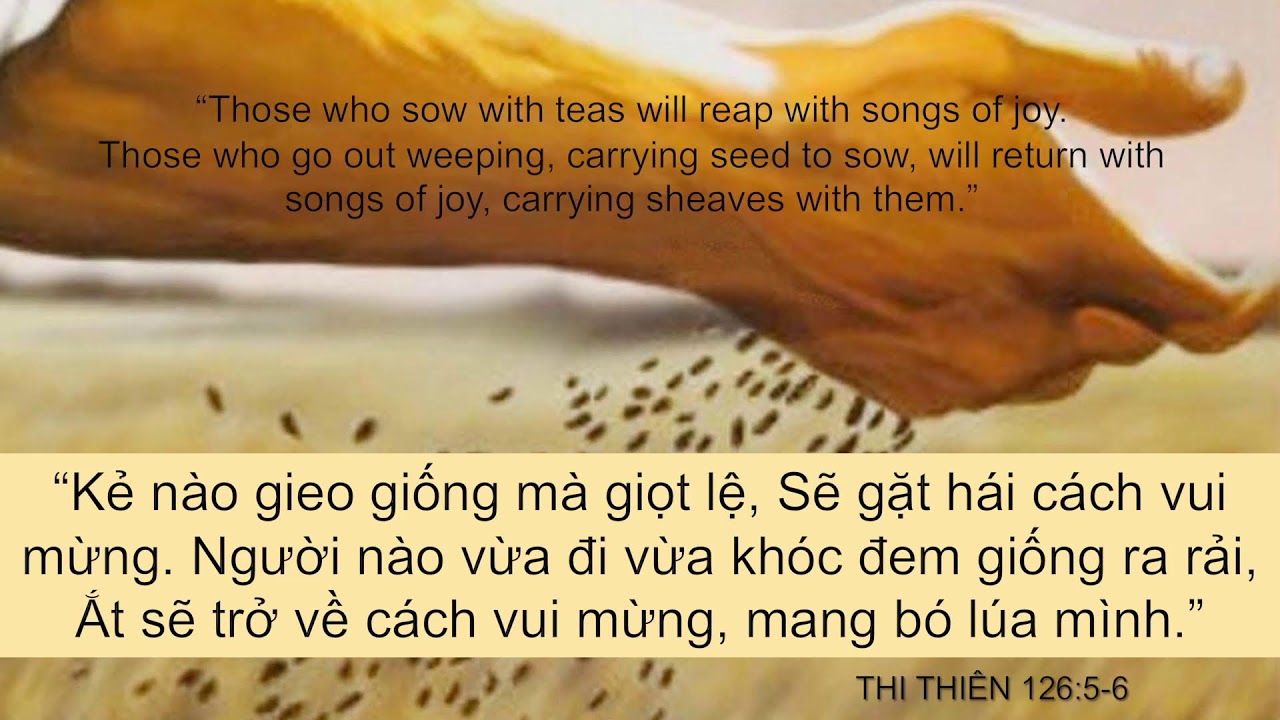 CẦU NGUYỆN SÁNG THỨ BẢY - MAY 4, 2024 ONLINE SERVICE - Hội Thánh Tin Lành Westminster