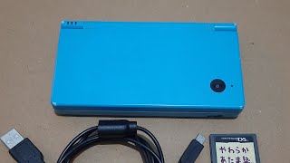 Nintendo DSi Blue Lower Screen Problem - Check Condition for Customer -- MGA