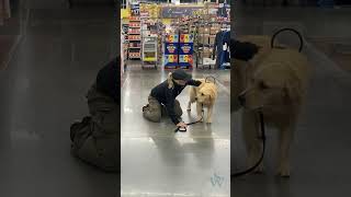 Watch  How Service Dogs  are Trained to Brace for Their Handlers