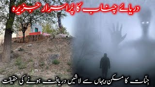 Mysterious Mundi Pabbi Island In Chenab River Chiniot | Chiniot Series Vlog 8| [4KHD]