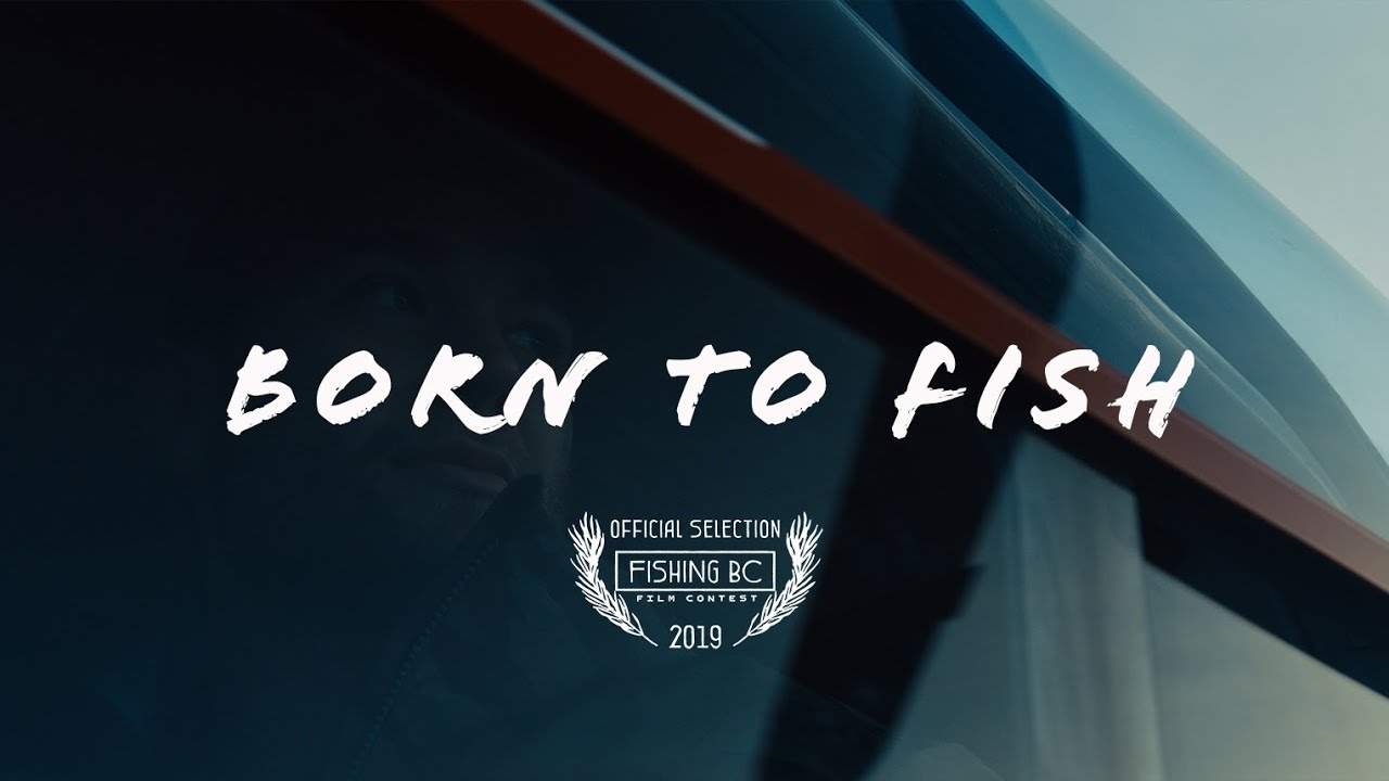 BMPCC 6K FOOTAGE - Born To Fish