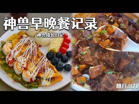 “學生哥”壹天都吃什麽？ 兒子的早晚餐快來抄作業！巨簡單！#food #cooking