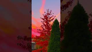 Each New Day (Christian Glitch Pop Song) #jesus #newchristianmusic #christianpopmusic #beautiful