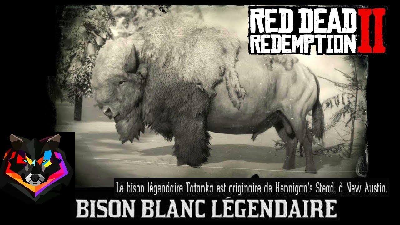 BISON Légendaire - Red Dead Redemption 2 - YouTube
