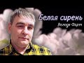 Володя Фарт – Белая сирень (Single, 2026)