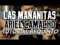 Las Mañanitas - estilo Ariel Camacho - Tutorial - REQUINTO - Como tocar en Guitarra