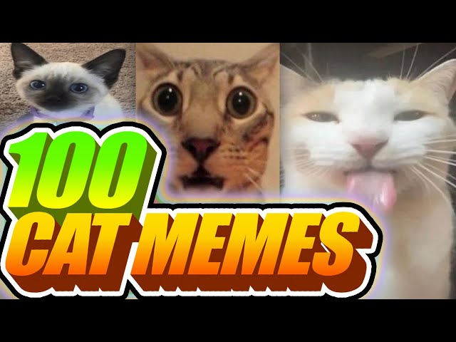 I Voiceovered 100 Cat Memes class=