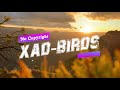 Xad-Birds(NO COPYRIGHT)