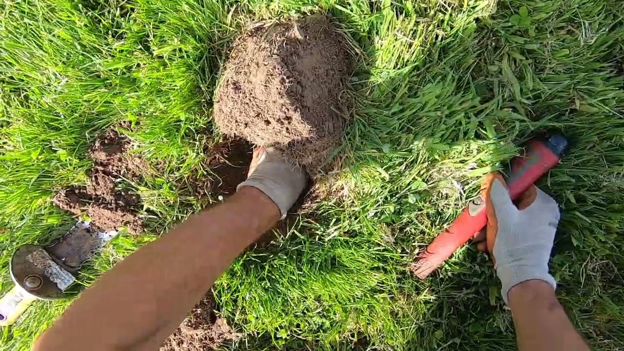 LIVE DIG ACTION!! Deep targets with small coils.