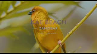 Sansi Kae Beach Resort \& Spa Zanzibar