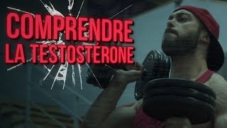 LA TESTOSTÉRONE : UNE ARME REDOUTABLE POUR DEVENIR MUSCLÉ