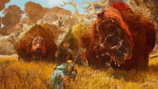 Monster Hunter Wilds Looks Awesome