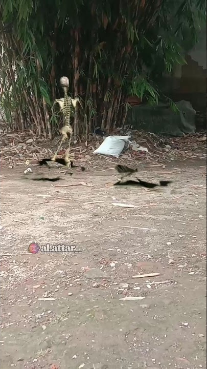 Hantu Skeleton (Hantu Tengkorak) #shorts