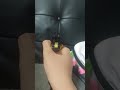 hicapa test 2