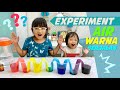 Pixel Eksperimen Air Warna Berjalan | Experiment For Kids | Stay at Home