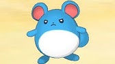 ルリリ 出現場所 攻略 キャンプで遊ぶ 鎧の孤島 ポケモン剣盾dlc Youtube