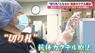 重症化と死亡のリスク7割減「抗体カクテル療法」 医療崩壊防ぐ