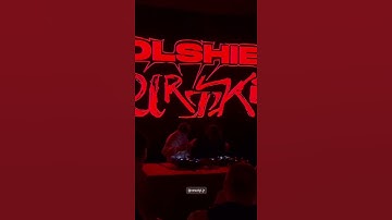 SALUKI — untitled (Snippet 14.10.24)