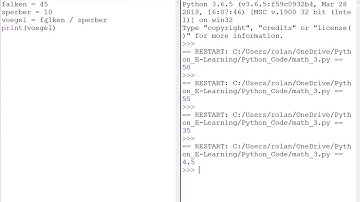Python: Mathematik mit  Variablen