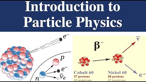 MSc Physics Classes || Introductory video of Particle PHYSICS || Classification of Various Particles