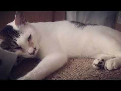 💚💚💚💚😽😽😽😽