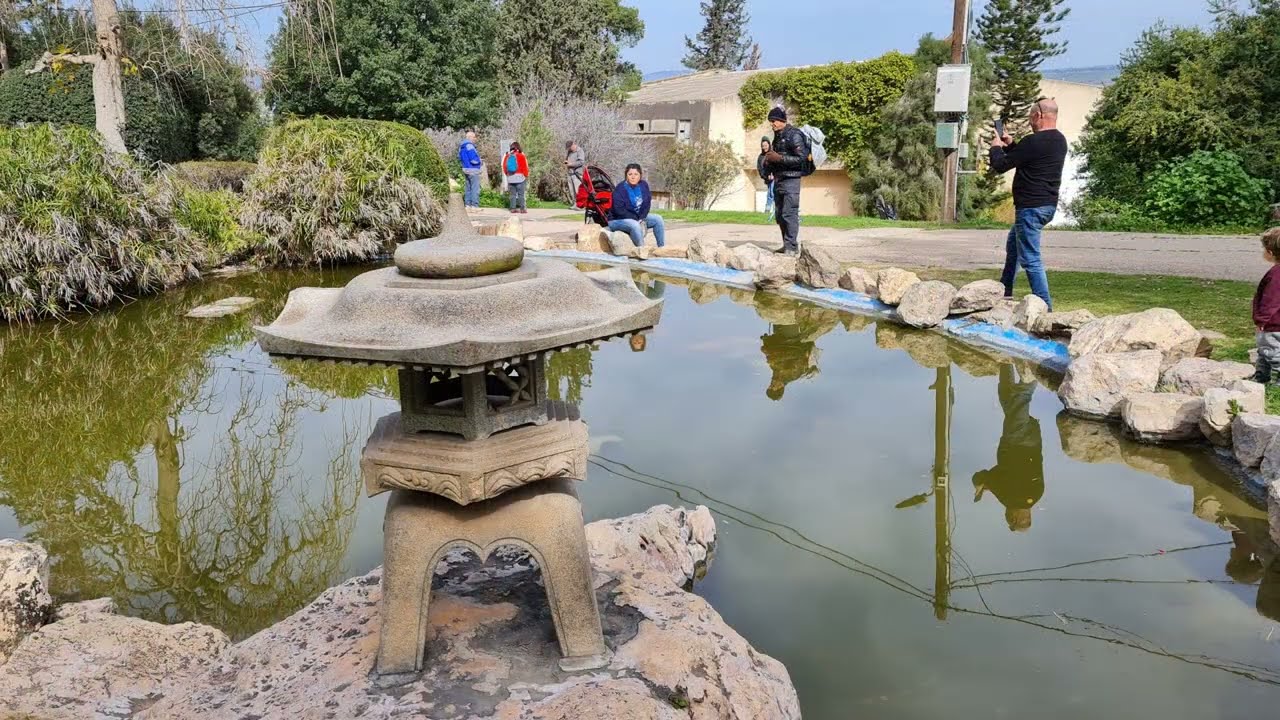 ממרומי הגלבוע