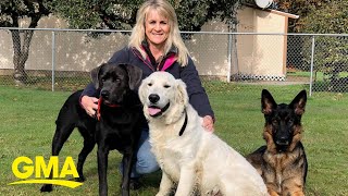 This organization provides service dogs for military veterans experiencing PTSD