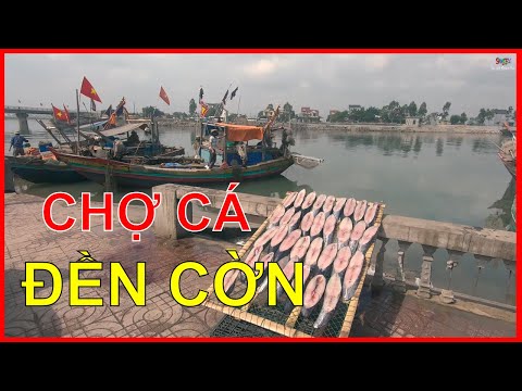 Video Khám Phá Chợ Cá Đền Cờn - Quỳnh Phương Quỳnh Lưu Nghệ... - youtube