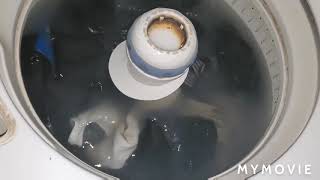 Maytag Atlantis washer on delicate cycle