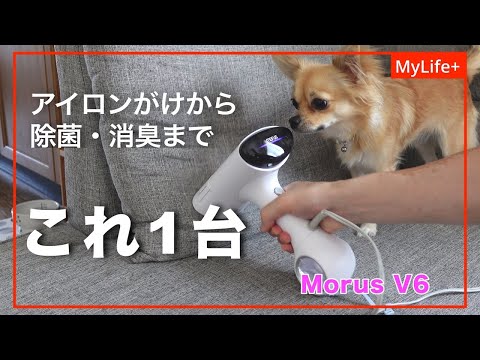 Review】Morus V6 ／ ハンガーに掛けたままアイロンできる気軽さと除菌