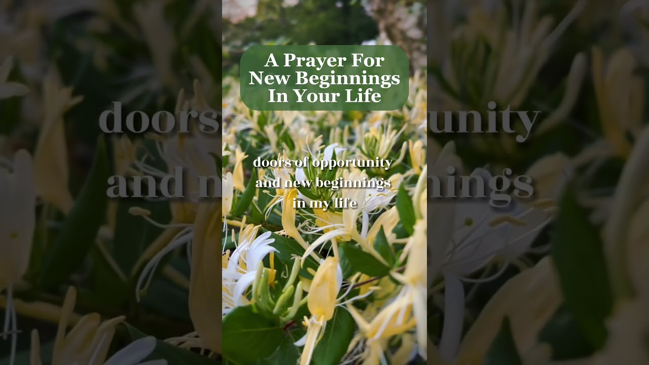 A Prayer For New Beginnings In Your Life