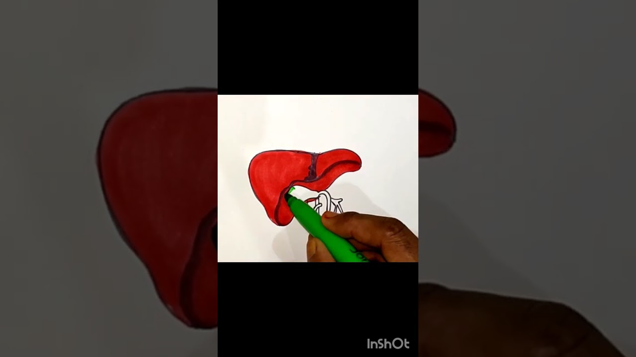 world hepatitis day poster 