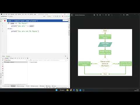 Basic Selection In Python