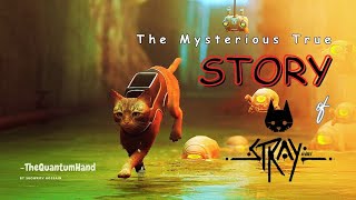 STRAY - The Story Explained | theQuantumHand