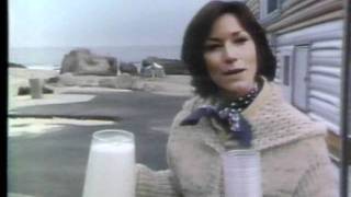 Hostess Snacks commercial 1979