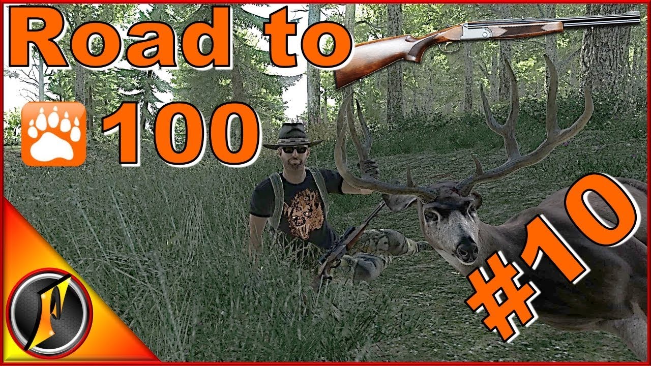 Road to 100 #10 | .30 R O/U | theHunter Classic 2017