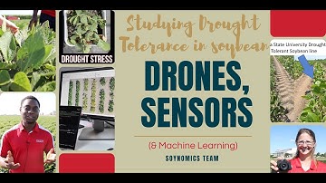 Studying Drought Tolerance in Soybean w, Drones, Sensors & Machine Learning | Soynomics Team