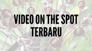 Suara yg muncul di langit dan suara jeritan siksa neraka