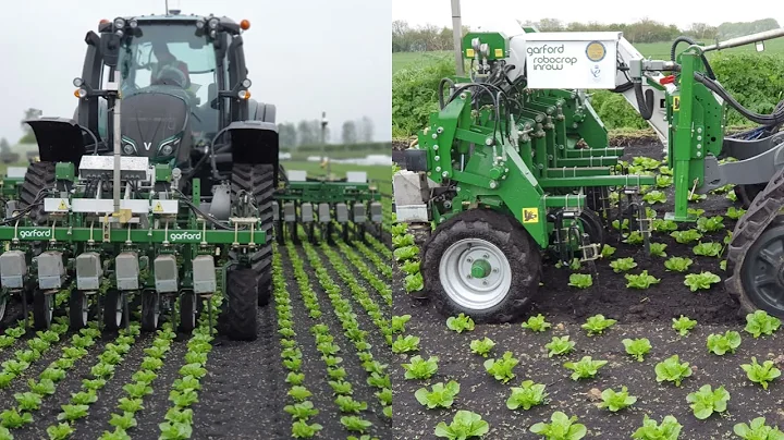 Garford mechanical weed control equipment