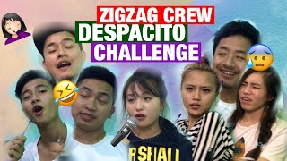 Video thumbnail of "DESPACITO CHALLENGE || ZIGZAG CREW"