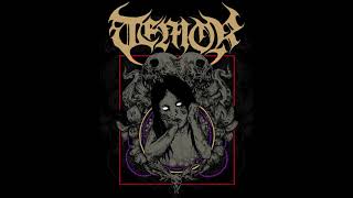 Download Lagu Temor - Todo Termina MP3