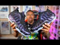 Finally Back Nike Foamposite Eggplant