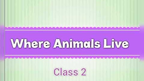 Class 2 ll EVS ll Where animals live ll Rising Star International School, Bikaner