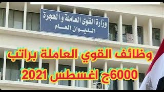 تعرف علي وظائف القوي العاملة اغسطس 2021 وطريقة التقديم لها