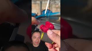 Filtro de Aquário fazendo barulho? #aquarismo #aquario
