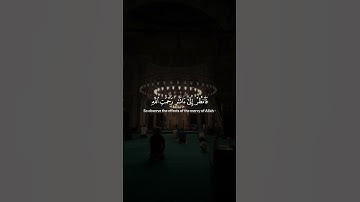 اكتب شيء تؤجر عليه سورة الروم | الاية 50 القارئ ياسر الدوسري #قرآن_كريم #ياسر_الدوسري #quran